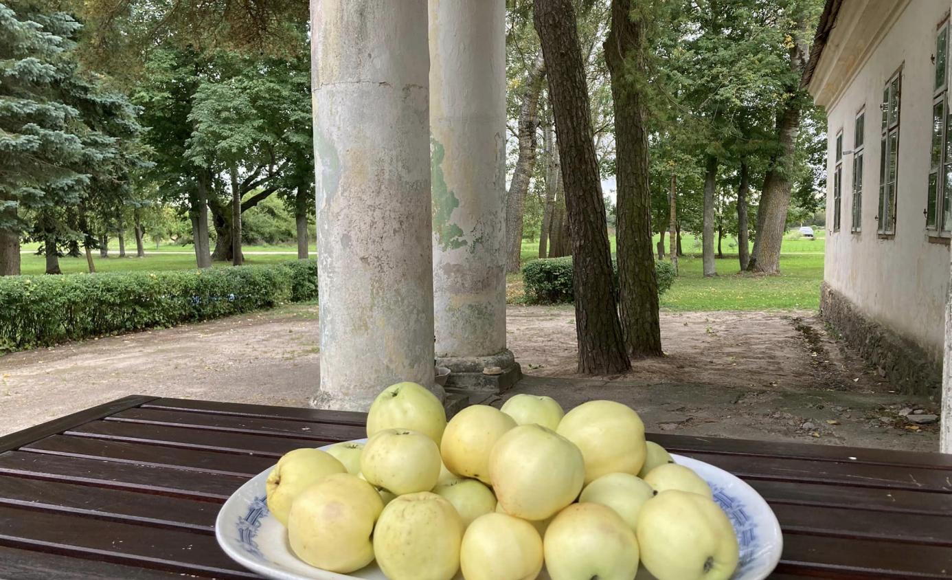 Rugsėjis Lietuvos pilyse ir dvaruose 
