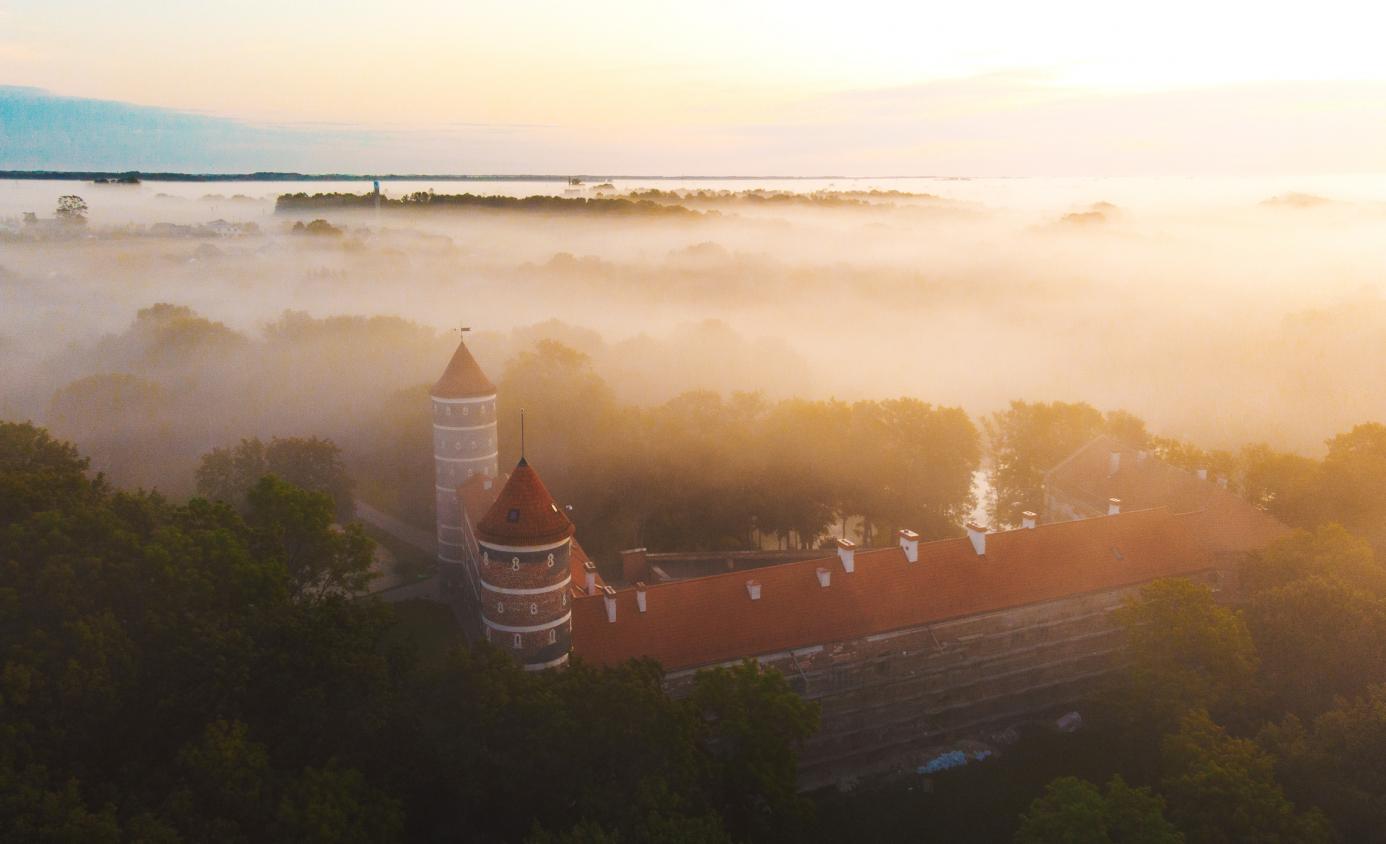 the Lithuanian Association of Castles and Manors