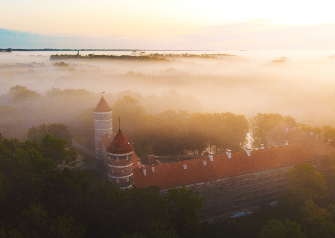 the Lithuanian Association of Castles and Manors