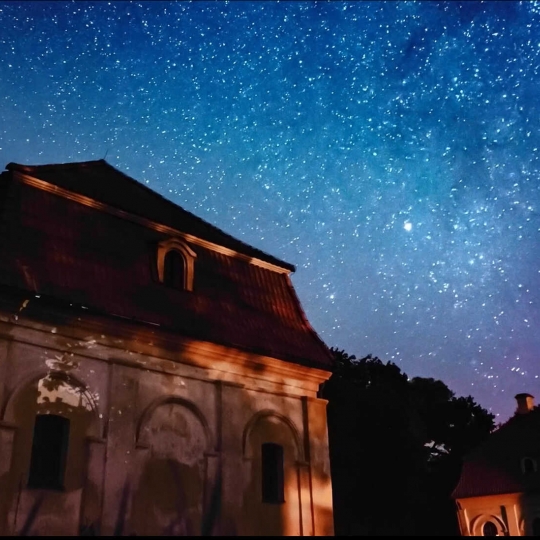 0004_liubavo-dvare_lietuvos-pilu-ir-dvaru-asociacijos-fotografija_optimized_1747380054-b414e5807dae3e00a2013b43ef9652df.jpg