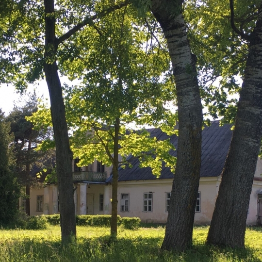 0005_lt_lipliunai_manor_lpda_1783404747-c54573f31cd697db839dc646ab5c1f6e.jpg