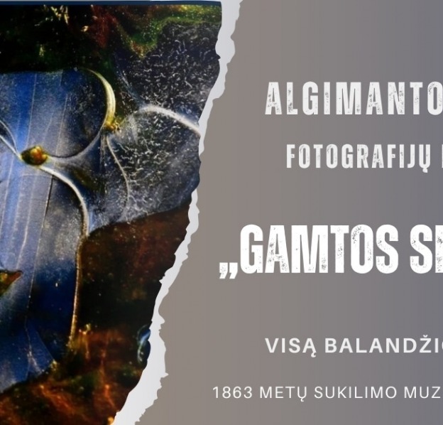 algimanto-luzos-paroda-paberzeje_1743689317-134d5a6841c09473925096f50a2d5c08.jpg