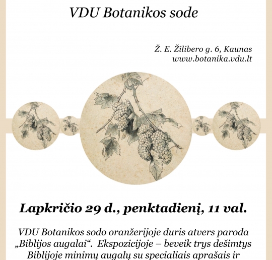 bibliniu-augalu-paroda-2019_1574662882-42f512700fcc56fcb201318bcdf38a14.jpg