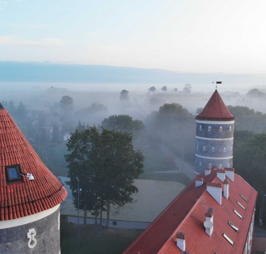 Panemunės pilis. Lietuvos pilių ir dvarų asociacijos (Bartašiaus fotografija )