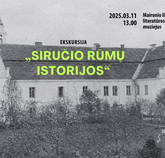 sirucio-rumu-istorijos_1740560490-7d8e1a2a005fba8e1bf2a7aa3ddd5b3b.jpg